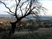 Amplia Parcela en Alcolea, Córdoba