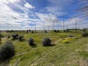 AMPLIA PARCELA EN EL SEÑORÍO DE ILLESCAS