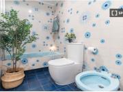 Amplia y luminosa Suite con terraza privada en alquiler...