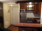 AMPLIO DEPARTAMENTO AMOBLADO SANTIAGO