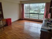 AMPLIO DEPARTAMENTO EN SAN ISIDRO, FRENTE AL GOLF