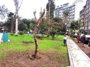 AMPLIO DEPARTAMENTO FRENTE A PARQUE