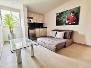 Amplio Departamento Remodelado 2 plantas, Col...