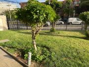 Amplio Depto. Excelente ubicación