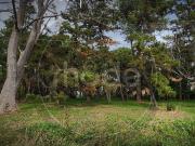 Amplio lote en Costa del Este