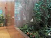 Amplio Piso de Tres Dormitorios en el Corazón de Rúa...