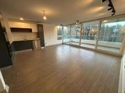 Amplio reñaca nuevo 2 estacionamientos 119485