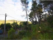 AMPLIO TERRENO A DOS CALLES CON VISTAS EN MAS MESTRE