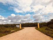 AMPLIO TERRENO CAMPESTRE 15 MINUTOS DE TELCHAC PUERTO