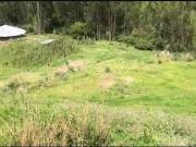 amplio terreno en venta sector Racar parroquia sayausi...