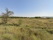 Amplio terreno urbanizable en Camino de San Antón de Almansa