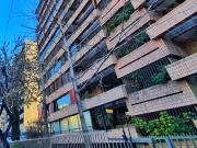 Amplio y luminoso dpto 300 m2, gran terraza