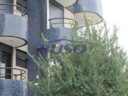 Amplo apartamento para venda no Alto da XV