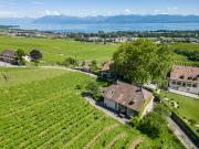 An den Toren von Rolle, ein Weinbauerhaus, umgeben von...