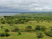 an enviable bush retreat that will e.