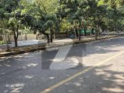 An excellent plot 533 sqyrds/ f 7/3 is available for sale