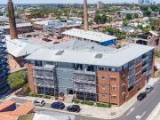 An Excellent Size and Northern Sun