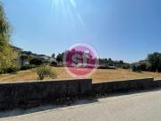 Anadia Anadia 98402628