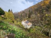 Ancien Moulin rénové 124m² Montfort sur Boulzane