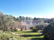 ANCIENNE FERME AU MILIEU DE CHAMPS D'OLIVIERS