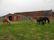 Ancienne ferme avec 2, 89 hectares de terrain libre,...