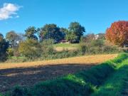 Ancienne Ferme Avec Vue Imprenable Sur Les Pyrenees...