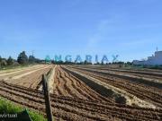 ANG157 Terreno para Venda em Aveiras de Cima