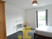 Angel Aquatics, Elliott Road, Metchley, B29 6LR, United...