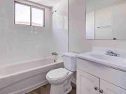 Angela Dawn Apartments 1 Bedroom Apartment for Rent at...