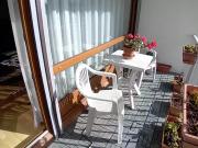 Angers 49000 Achat / Vente appartement 5 pièces t5