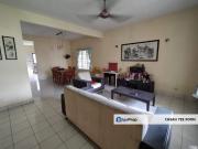 Anggerik Doritis @ Kota Kemuning