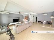 Anggerik Doritis @ Kota Kemuning