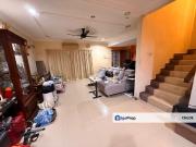 Anggerik Doritis @ Kota Kemuning