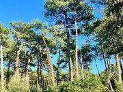 Anglet 64600 Achat / Vente maison 6 pièces t6 piscine jardin