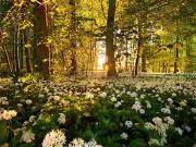 Angoulême 16000 Programme neuf terrain neuf à vendre