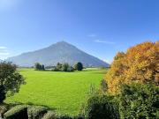 Anif Herrliche 2 Zimmer Wohnung mit Loggia und Blick auf...