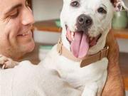 ANIMALI ACCESSORI E TOLETTATURA A MILANO CENTRO