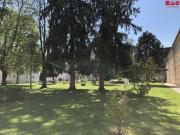 Ankommen und wohlfühlen im Grünen: diese...