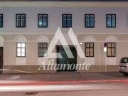Anlageobjekt 378 m2 Mödling