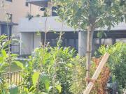 Anlegerwohnung * Traumhafter Erstbezug+Terrasse *...
