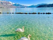 Annecy 74000 Achat / Vente divers 2 pièces