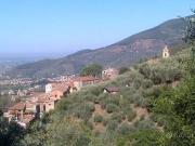 Annesso agricolo in vendita a Calci