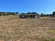 Annesso agricolo in vendita a Luogosanto 22800 mq Rif:...