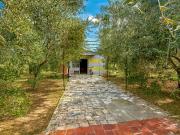 Annesso agricolo in vendita a Titignano Cascina 1700 mq...