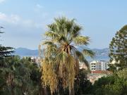 Annonce appartement à louer