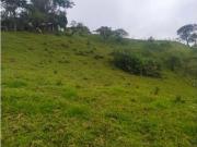 ANOLAIMA FINCA EN VENTA 15.000M2