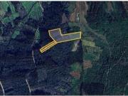 Ansião Ansião 95178829