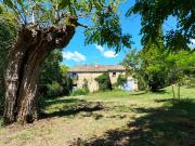 Antico casale panoramico con giardino e ulivi a Staffolo...