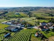 Antiga quinta agrcola com 11 hectares e 4700 m2 de...
