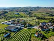 Antiga quinta agrícola com 11 hectares e 4700 m2 de...